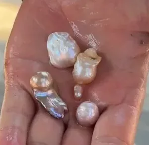 récolter la perle baroque récolter la perle baroque