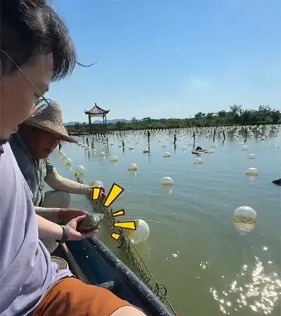 cueillir une huître sur le bateau cueillir une huître sur le bateau