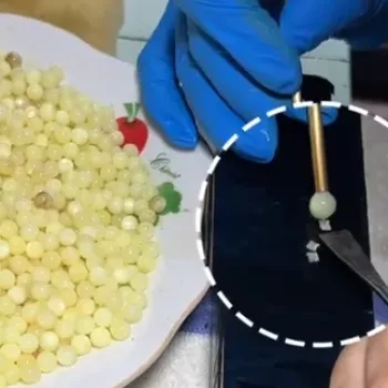 Nucléation pour l'insertion Nucléation pour l'insertion